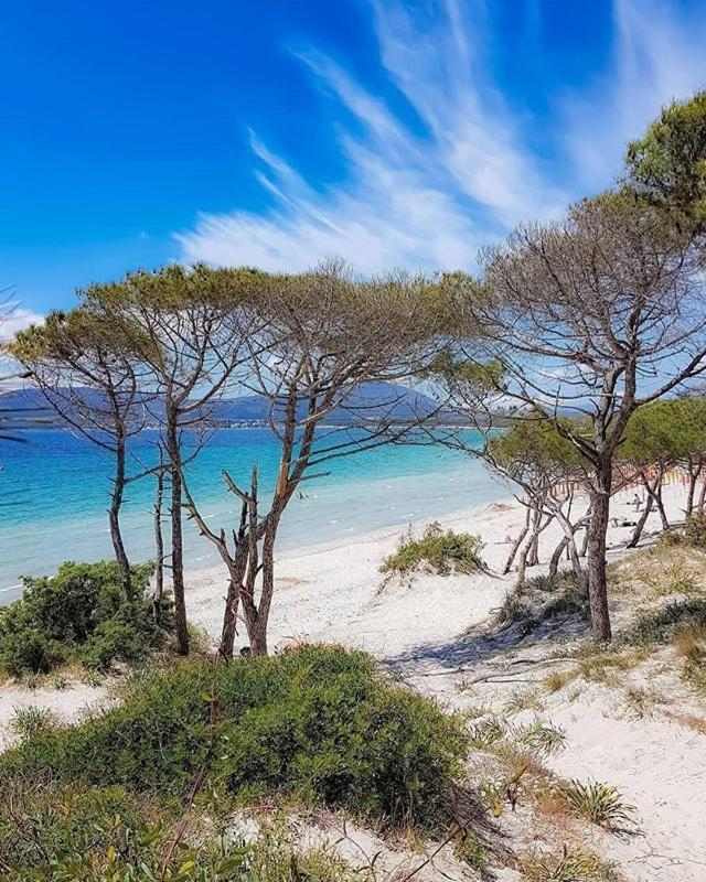 Willa Casa Debby Porto Torres Zewnętrze zdjęcie